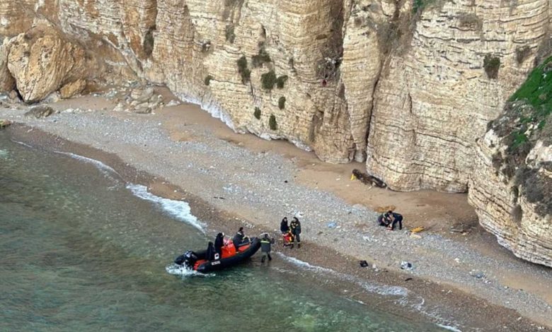 دراسة تكشف قدرة مفاجئة للحيتان على سماع الأصوات