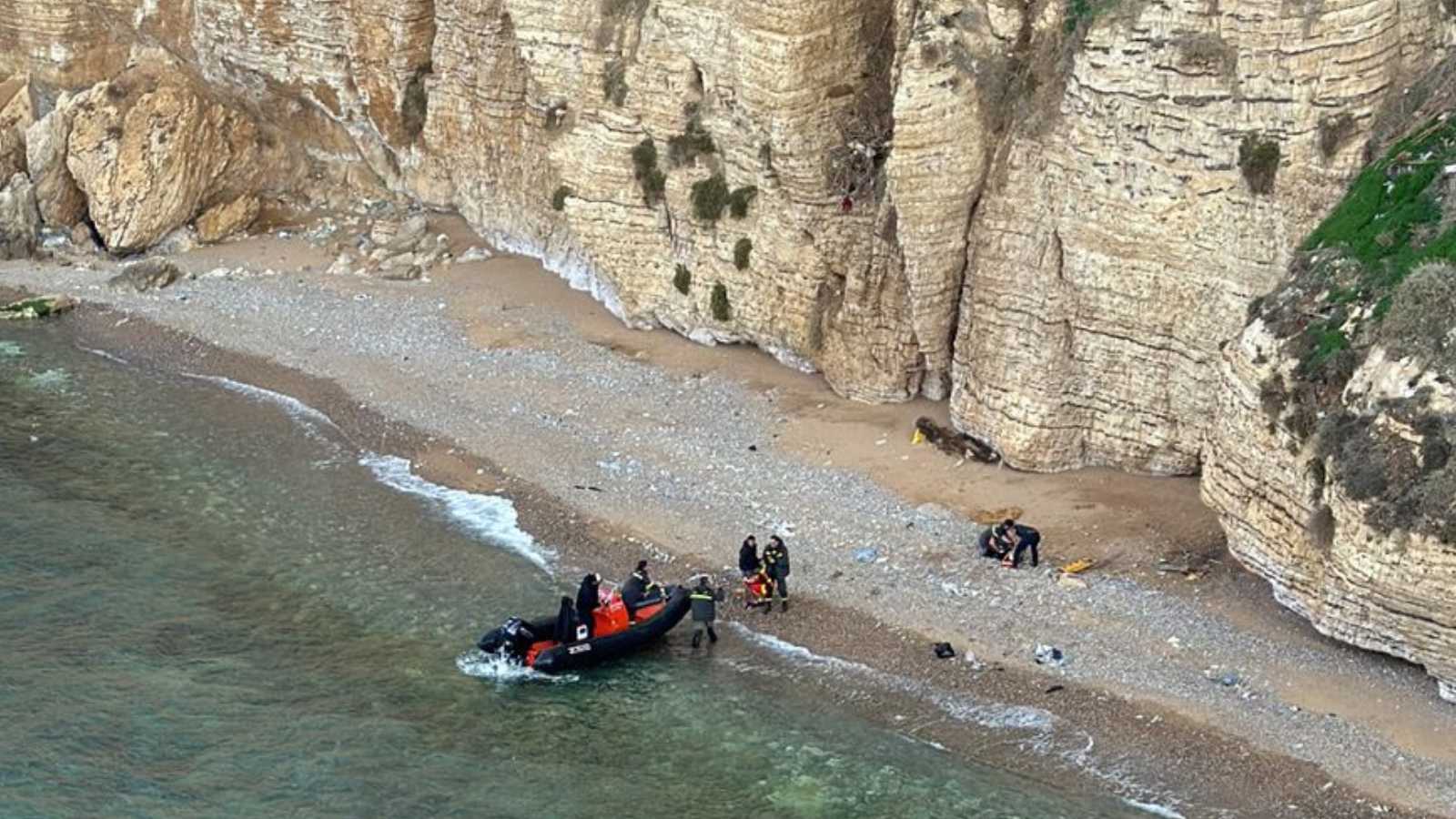 دراسة تكشف قدرة مفاجئة للحيتان على سماع الأصوات