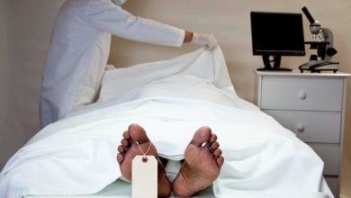 كيف جنى صناع المحتوى الفاخر أرباحاً خيالية في 2025؟