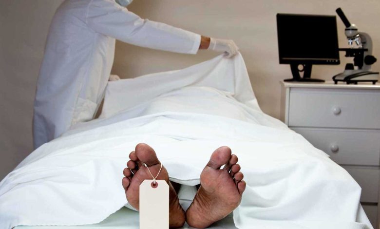 كيف جنى صناع المحتوى الفاخر أرباحاً خيالية في 2025؟