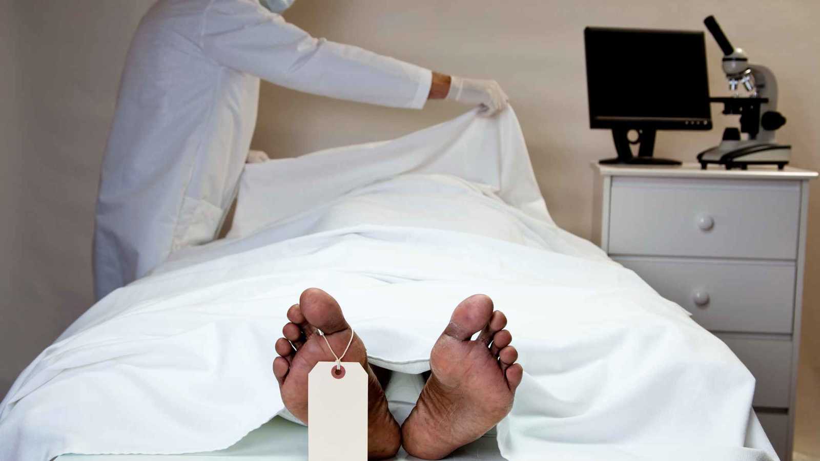 كيف جنى صناع المحتوى الفاخر أرباحاً خيالية في 2025؟