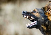 منة عرفة لـ