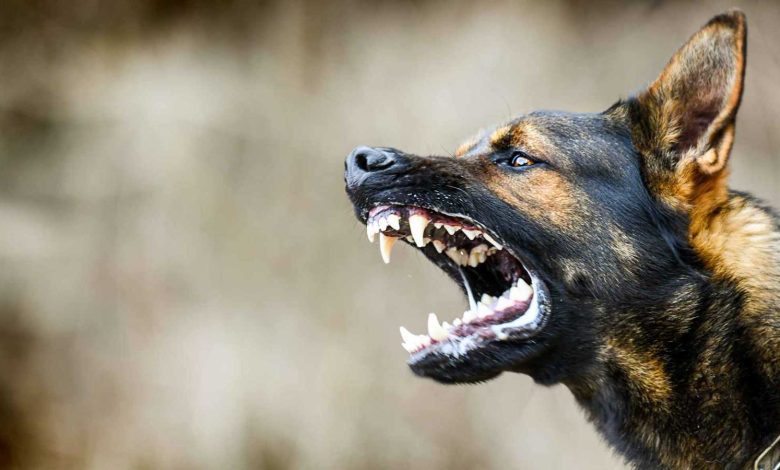 منة عرفة لـ