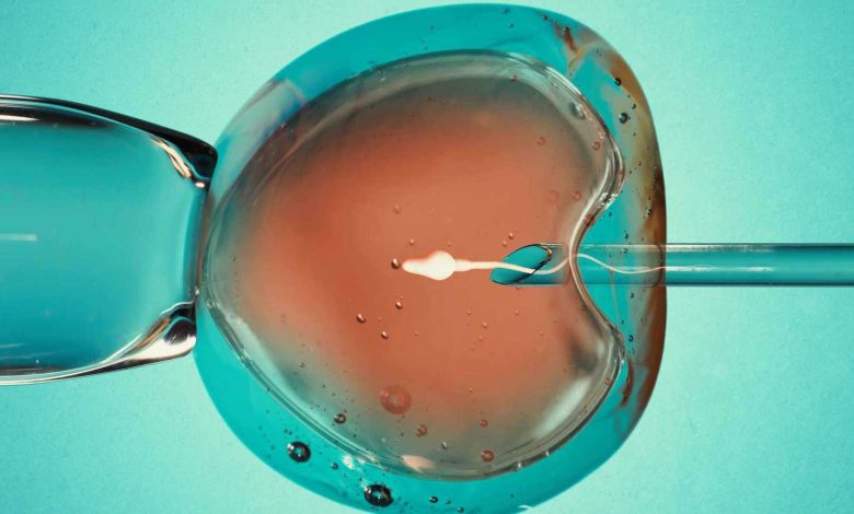 هبوط اضطراري لطائرة فوق سيارة على الطريق السريع في فلوريدا (فيديو)