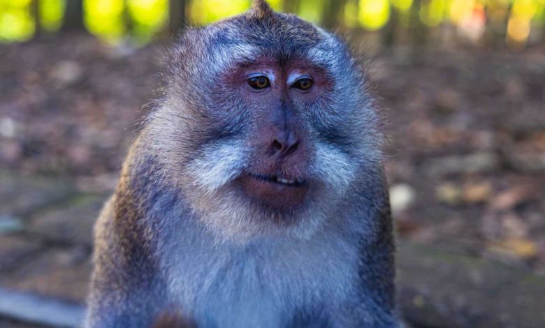 هل اقترب لم شمل الأمير هاري مع والده الملك تشارلز؟