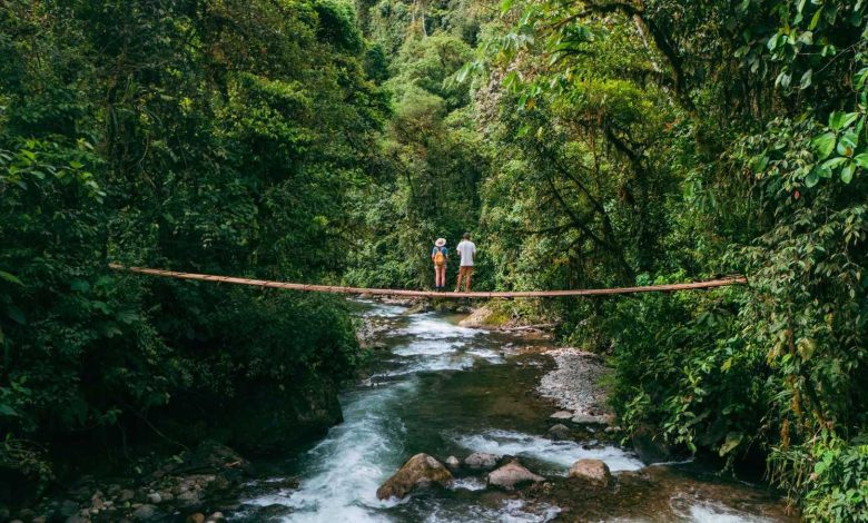 دون وحوش أو دماء.. فيلم رعب