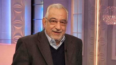 أنثى دب قطبي تتبنّى شبلًا غريبا عن نسلها.. والعلماء في حالة ذهول