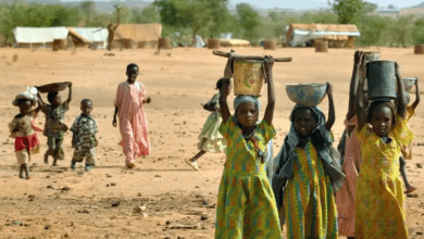 السودان.. "الأغذية العالمي" يخفض حصص الطعام بسبب نقص التمويل