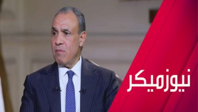 ما الذي كشفه وزير خارجية مصر لـRT بشأن غزة والسودان وسوريا؟
