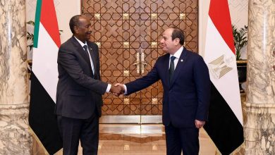 وزير خارجية مصر يكشف لـ RT سر بيان القاهرة الشديد اللهجة بشأن السودان