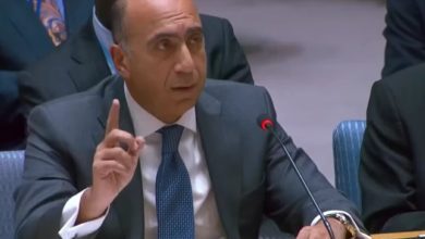 فيديو لتحذير مصري في مجلس الأمن