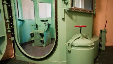 عملية سرقة غريبة في نيوزيلندا