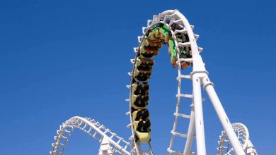 جدل وتحرير محضر.. ما حقيقة تجدد خلافات شيرين عبد الوهاب وحسام حبيب؟