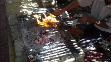 مصر.. تجربة بوسي مع "البشعة" تثير جدلاً واسعاً (فيديو)