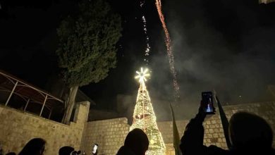 منة عرفة لـ