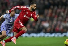 3 نجوم.. من أبهر جماهير المغرب بعد الفوز على الإمارات؟