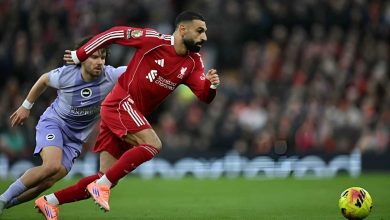 3 نجوم.. من أبهر جماهير المغرب بعد الفوز على الإمارات؟