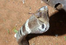 فيديو بـ42 مليون مشاهدة.. كيف تهزم رهاب الطيران بنظرية الجيلي؟