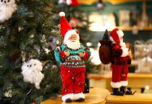 تايلاند تحتفل بعودة القط النادر المهدد بالانقراض (صور)