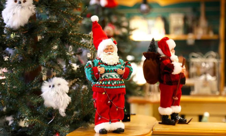 تايلاند تحتفل بعودة القط النادر المهدد بالانقراض (صور)