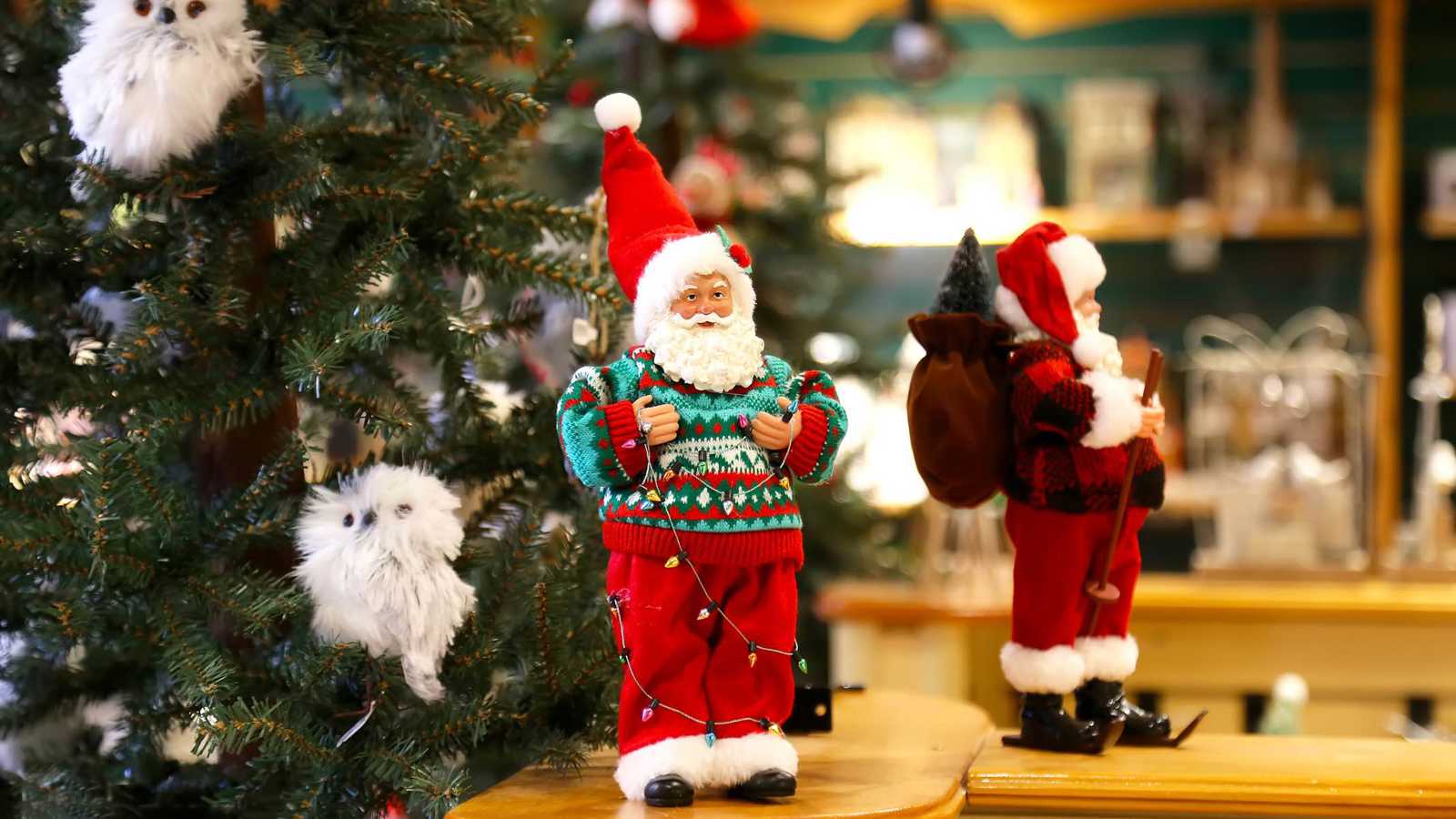 تايلاند تحتفل بعودة القط النادر المهدد بالانقراض (صور)