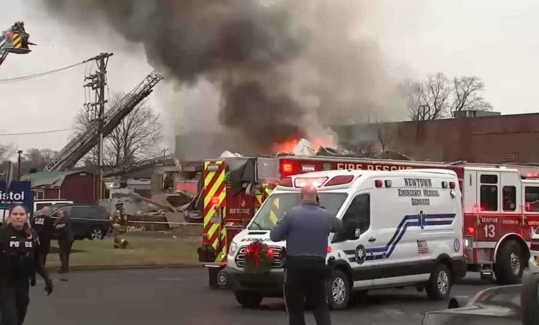 الثعابين الليلية.. تعرف على خصائصها ودورها في البيئة