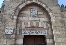 الحدائق قد تكون مأوى للثعابين.. إليك نصائح لتجنبها