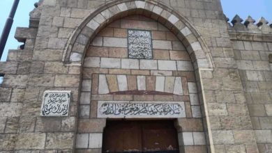 الحدائق قد تكون مأوى للثعابين.. إليك نصائح لتجنبها