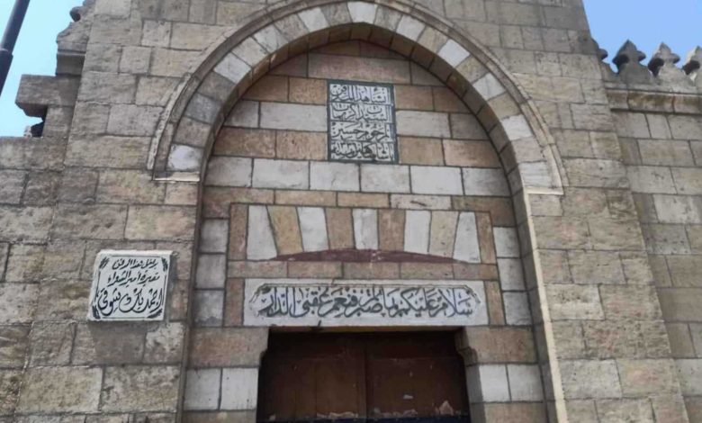 الحدائق قد تكون مأوى للثعابين.. إليك نصائح لتجنبها