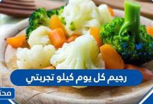 اسهل رجيم كل يوم كيلو تجربتي 2026