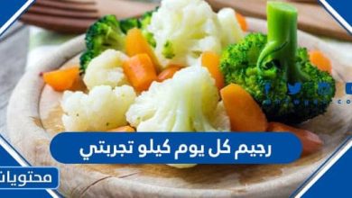 اسهل رجيم كل يوم كيلو تجربتي 2026