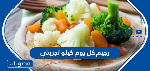 اسهل رجيم كل يوم كيلو تجربتي 2026