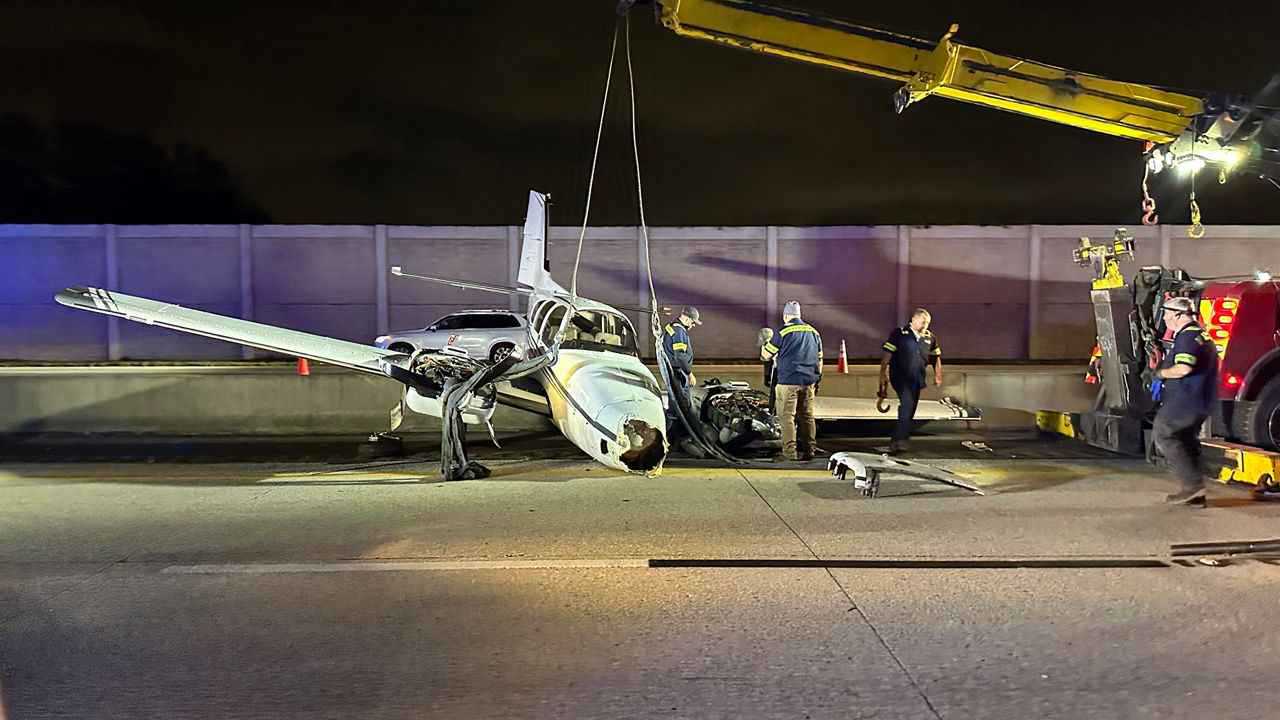 اليونسكو تُدرج الكشري المصري ضمن التراث الثقافي اللامادي