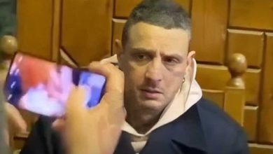 سمية الألفي وأحمد الفيشاوي