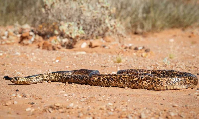 نتفليكس تواجه تحديا مع نهاية Stranger Things