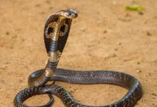 محكمة تركية تصدر حكما بعد 75 عاما من النزاع القضائي