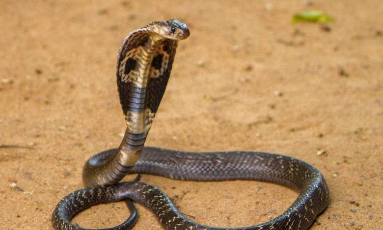 محكمة تركية تصدر حكما بعد 75 عاما من النزاع القضائي