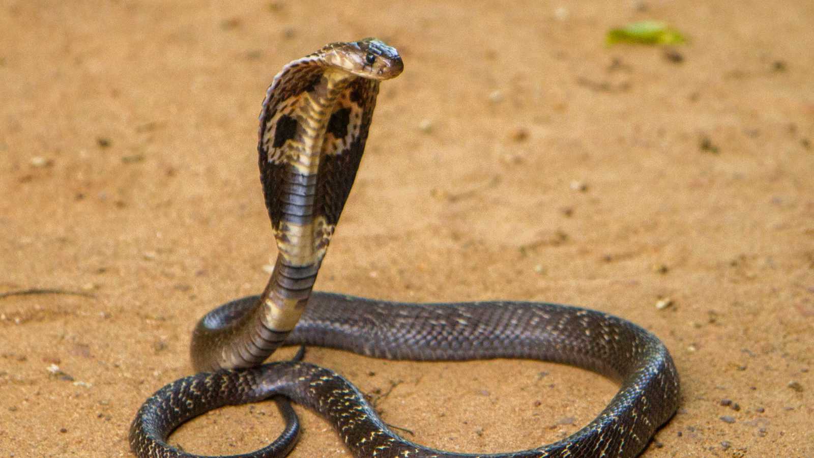 محكمة تركية تصدر حكما بعد 75 عاما من النزاع القضائي