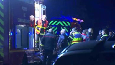 بانتون يكشف لون عام 2026.. تعرف على