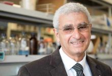 محامي هيفاء وهبي: الملاحقة ستشمل كل من ساهم بنشر الفيديو المفبرك