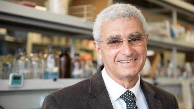 محامي هيفاء وهبي: الملاحقة ستشمل كل من ساهم بنشر الفيديو المفبرك