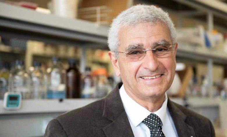 محامي هيفاء وهبي: الملاحقة ستشمل كل من ساهم بنشر الفيديو المفبرك