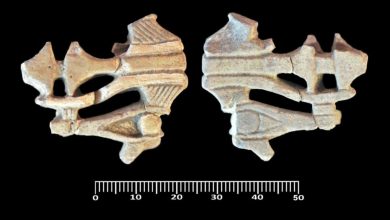 رجل يقاضي زوجته بعد رفضها التبرع له بجزء من كبدها