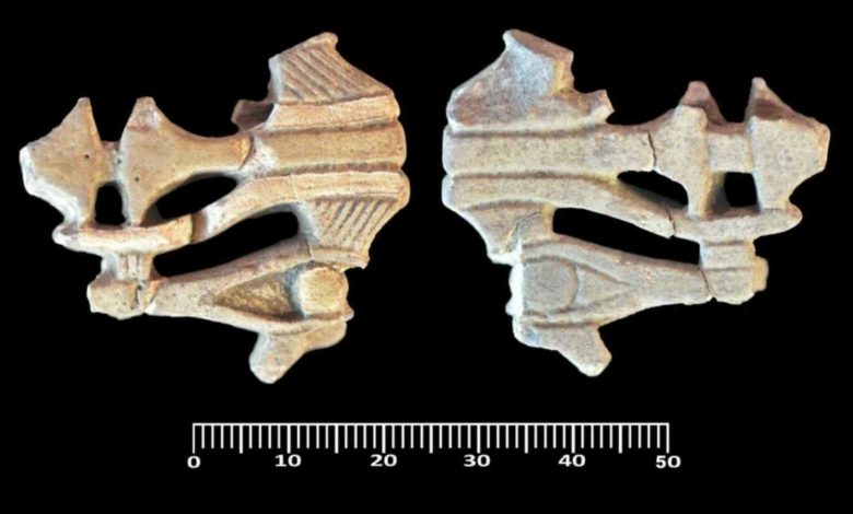 رجل يقاضي زوجته بعد رفضها التبرع له بجزء من كبدها