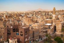 أنثى دب قطبي تتبنّى شبلًا غريبا عن نسلها.. والعلماء في حالة ذهول