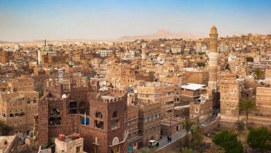 أنثى دب قطبي تتبنّى شبلًا غريبا عن نسلها.. والعلماء في حالة ذهول