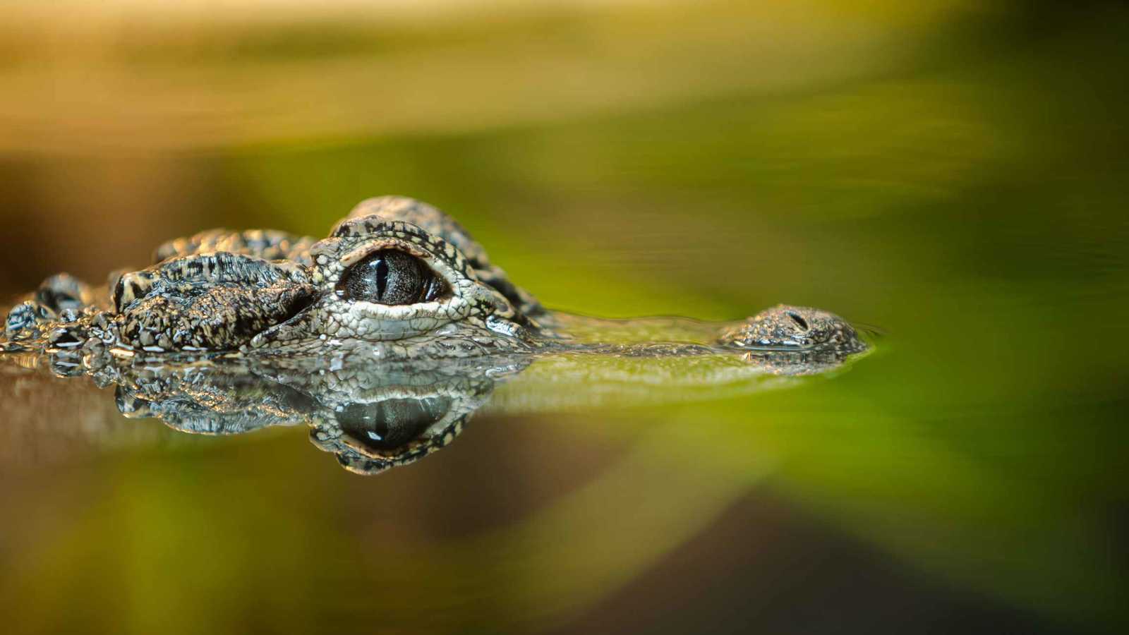 معتقلون سابقون في سجن صيدنايا يروون قصصهم في فيلم جديد