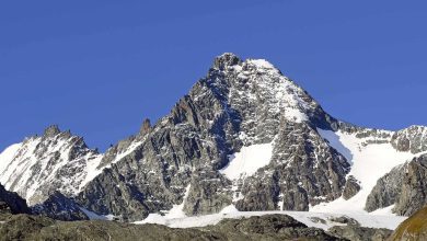 فيديوهات مزيفة لأطباء معروفين تنشر معلومات مضللة في تيك توك