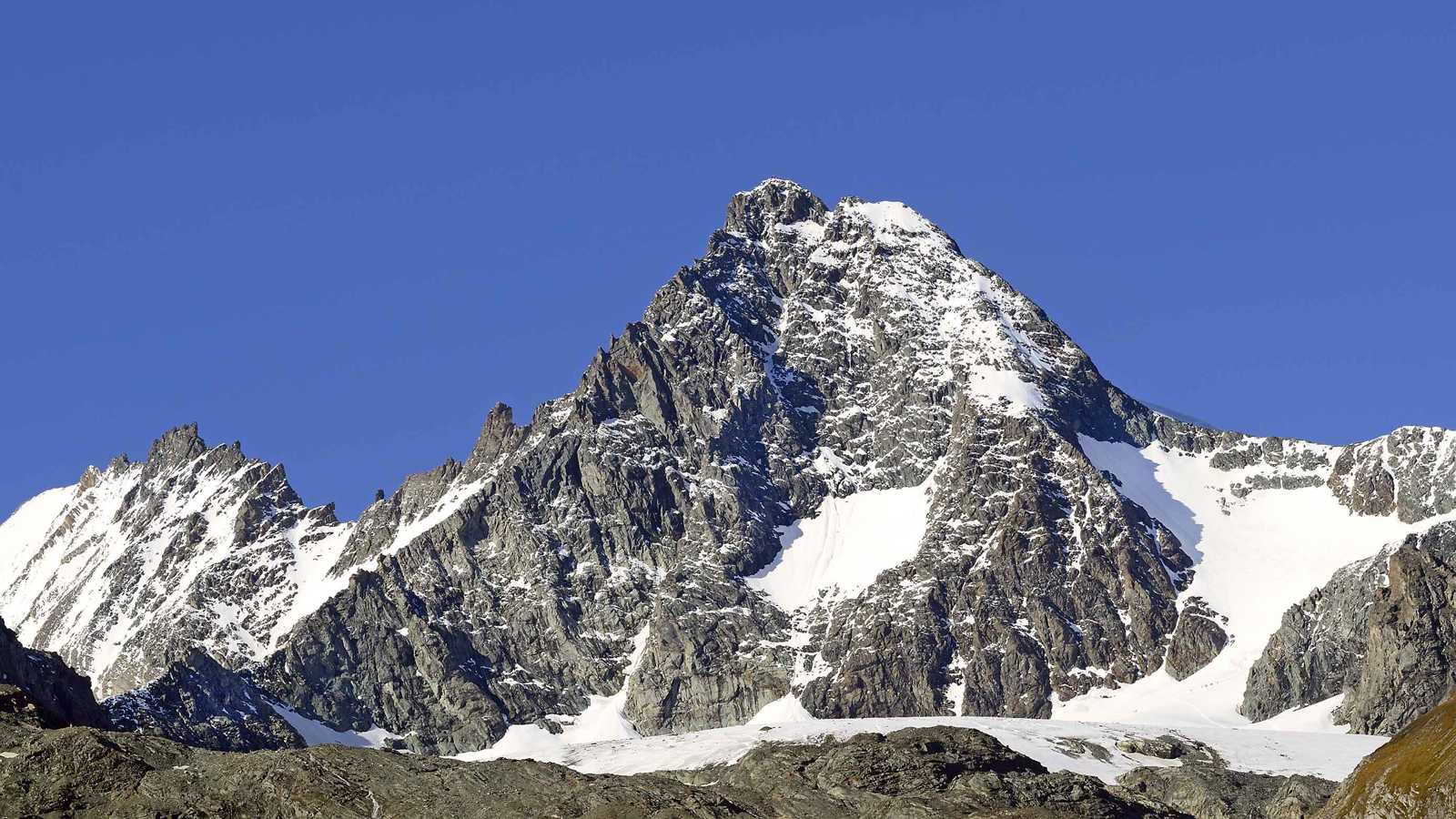 فيديوهات مزيفة لأطباء معروفين تنشر معلومات مضللة في تيك توك