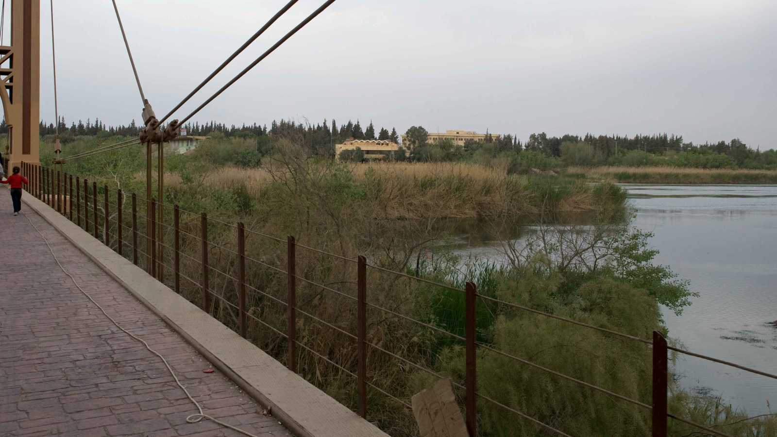 رعب في متنزه ترفيهي بعد توقف